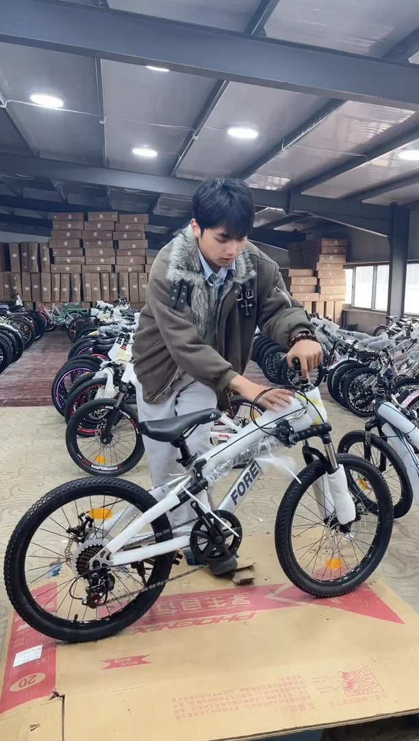 20寸-7速-银【默认微瑕，不退不换，介意勿拍】