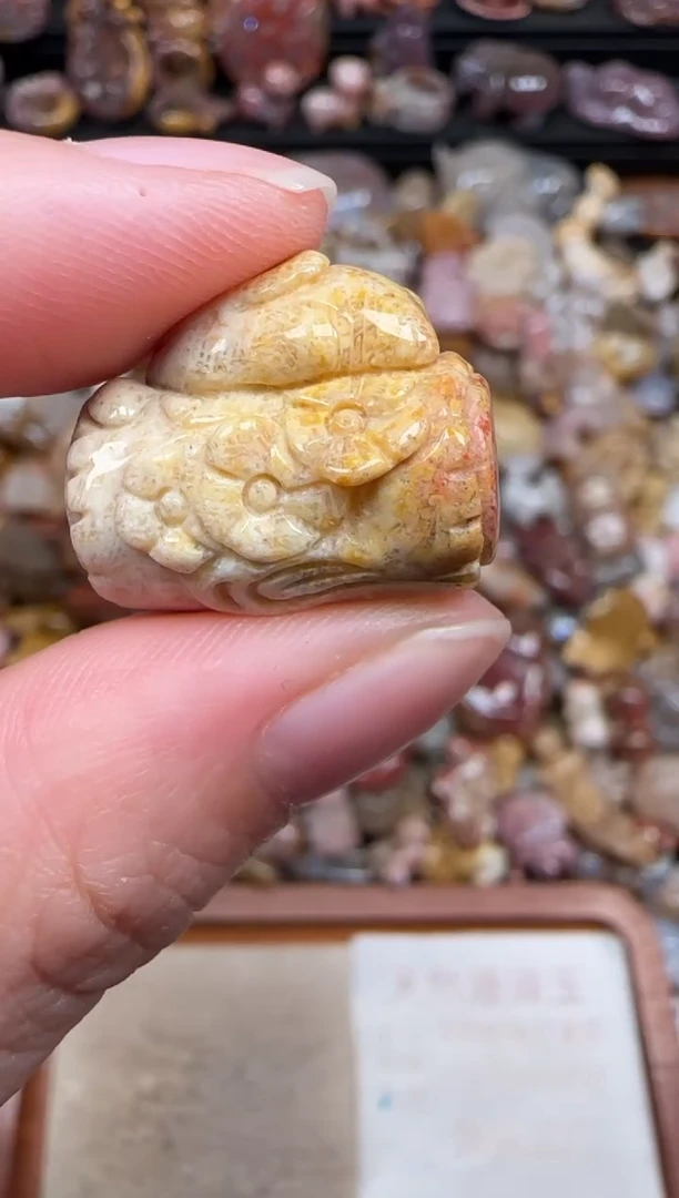 颈饰未镶嵌硅化珊瑚（珊瑚玉）771