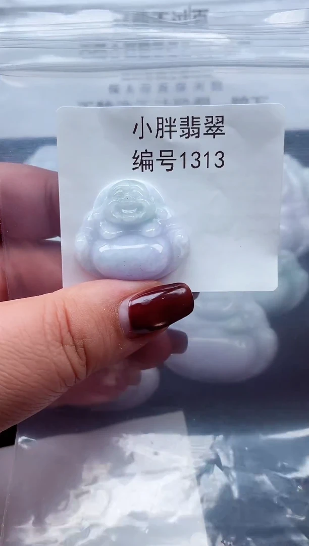 颈饰未镶嵌翡翠缅甸天然A货翡翠1313