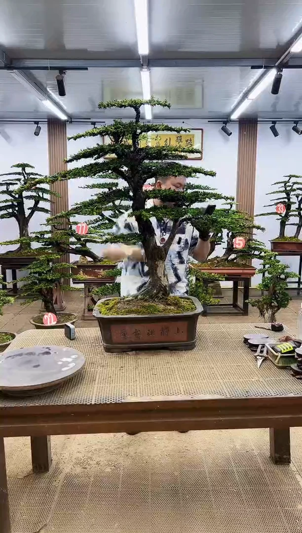 一物一拍，所见即所得