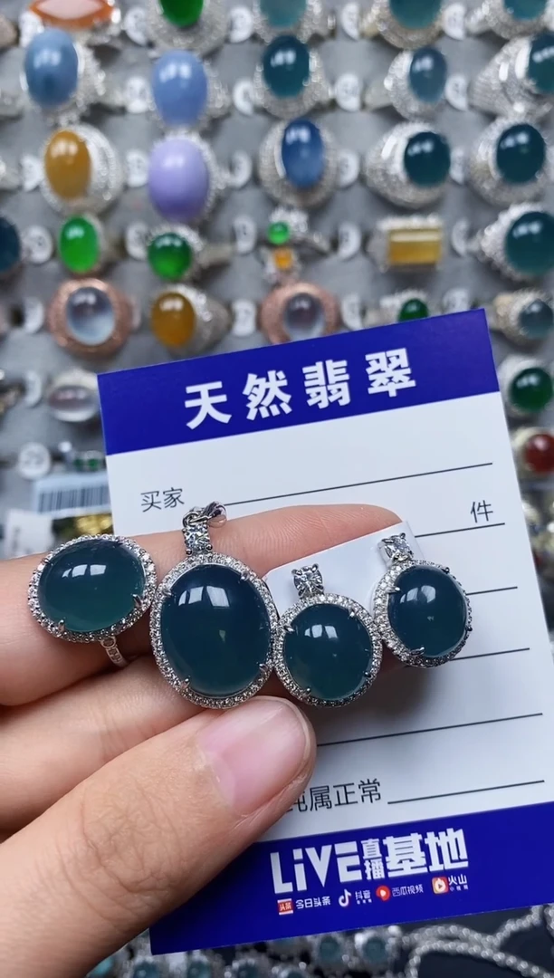 【闪购商品】翡翠颈饰银S925镶嵌0228