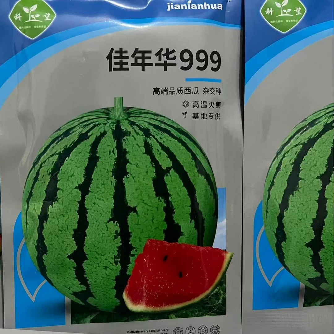 佳年华999西瓜种子
