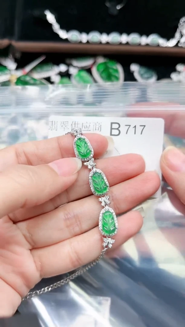 【闪购商品】翡翠颈饰未镶嵌赠皮绳717