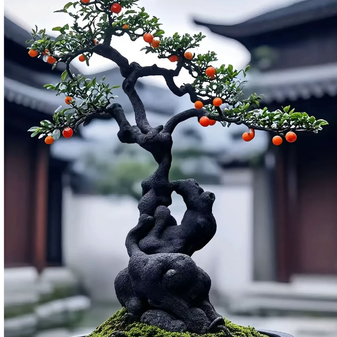 6金蛋子瓶兰花一物一拍