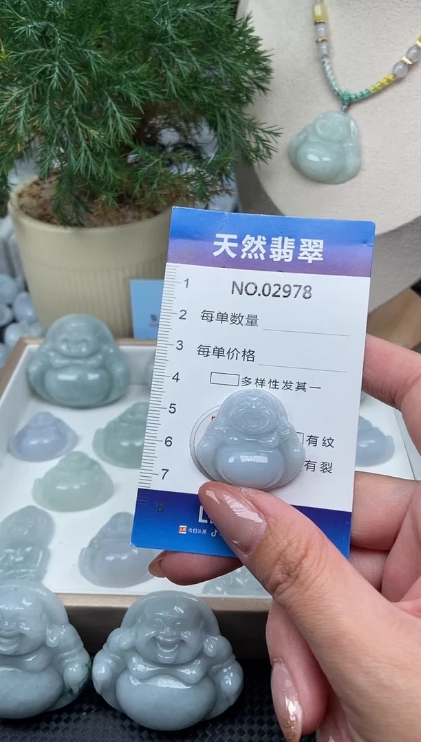 颈饰未镶嵌翡翠纯天然A货翡翠2978