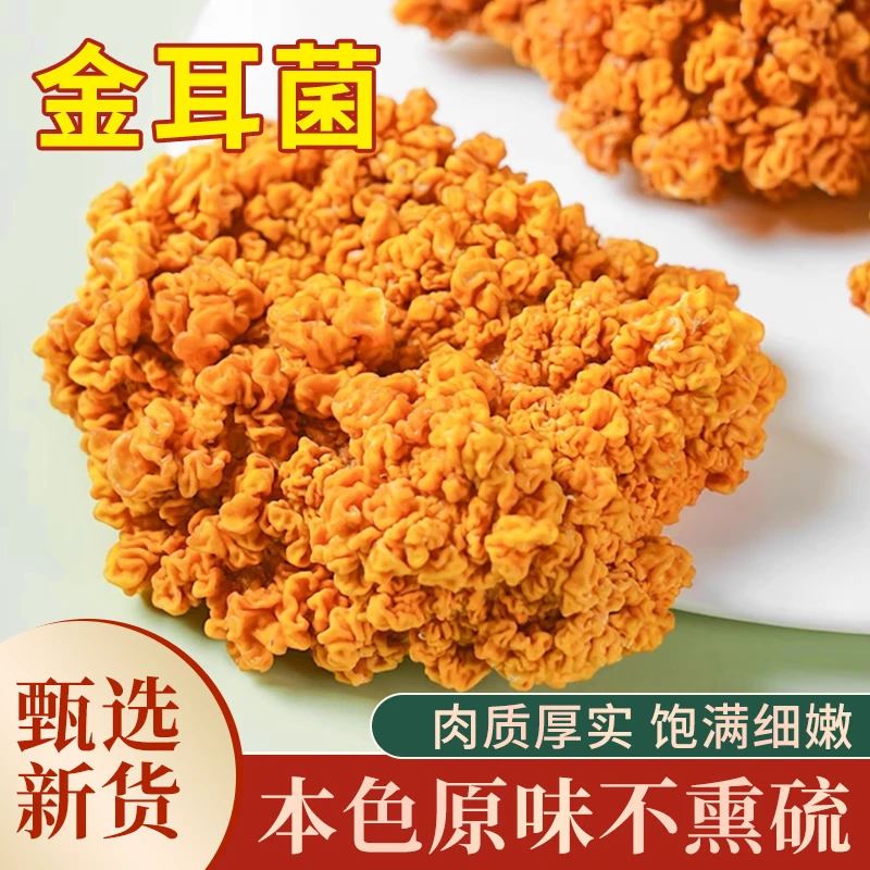 新鲜金耳菌特产火锅刺身菌菇食材银耳黄金耳菌