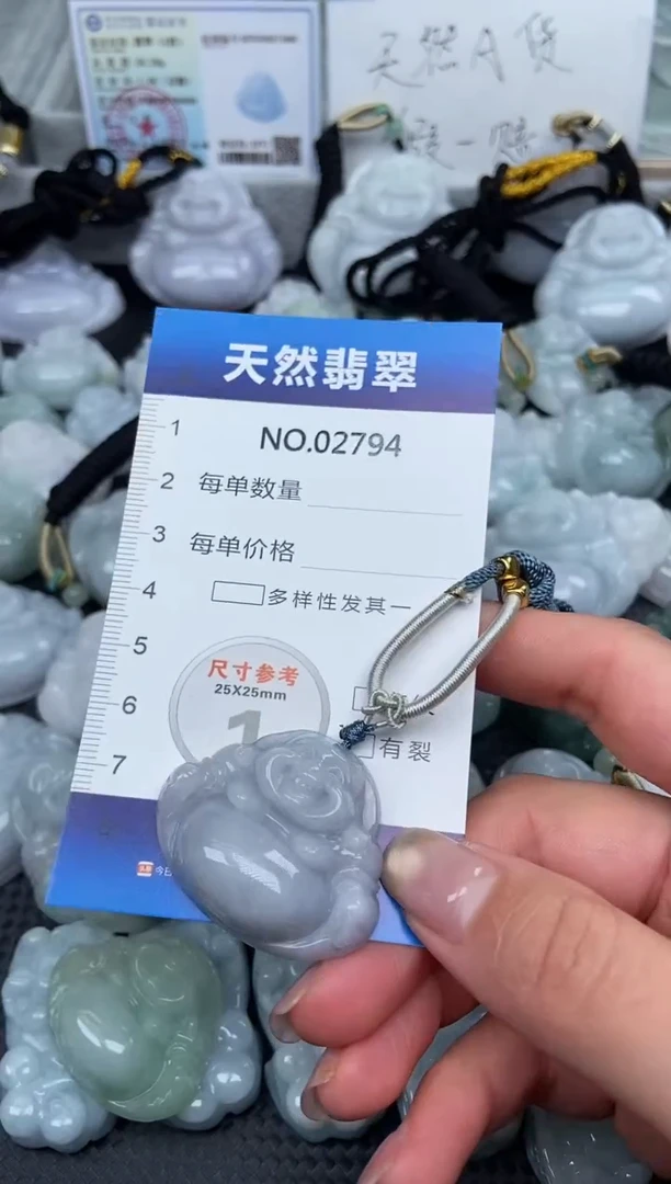 颈饰未镶嵌翡翠纯天然A货翡翠2794