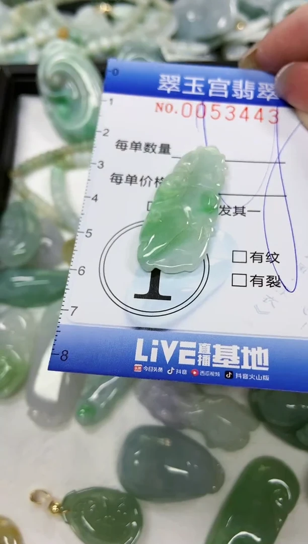 【闪购商品】翡翠颈饰未镶嵌闪购0053443