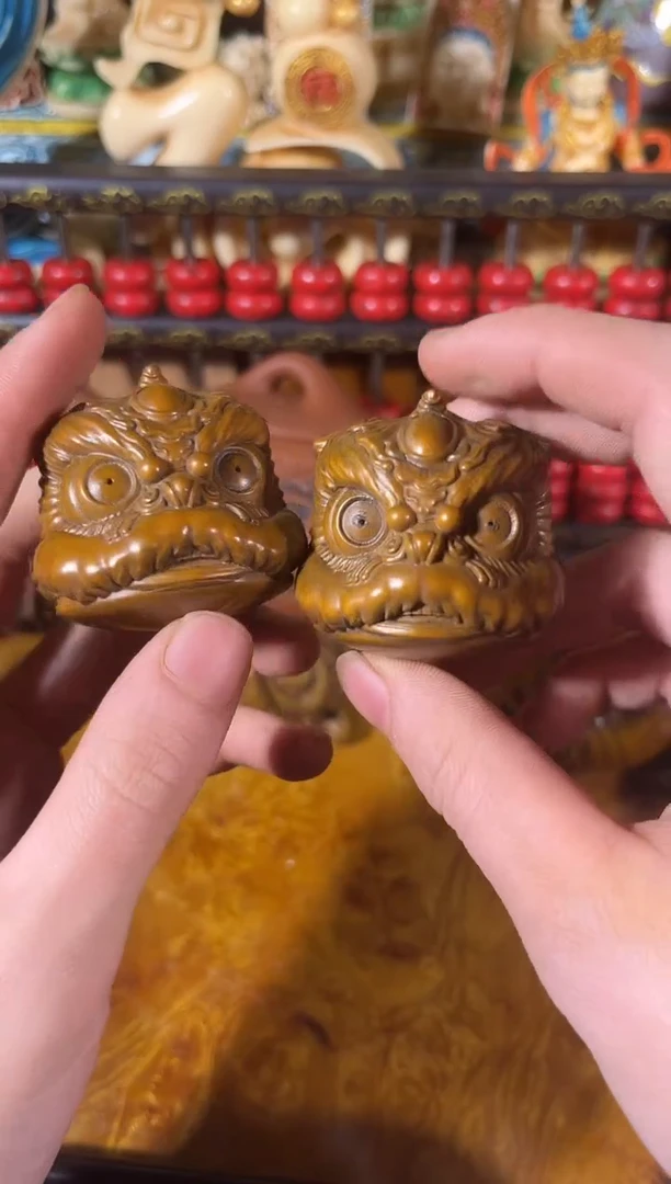 黄杨木11111111111