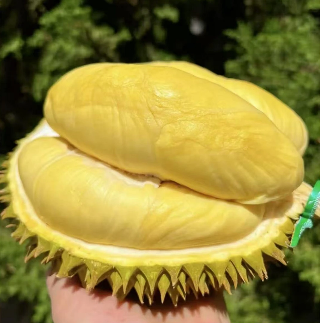 【泰国金枕】鲜榴莲 核小 软糯香甜回味无穷 3.5-8.5斤榴莲同城配金枕泰国