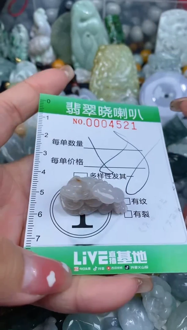 翡翠未镶嵌颈饰F闪购0004521