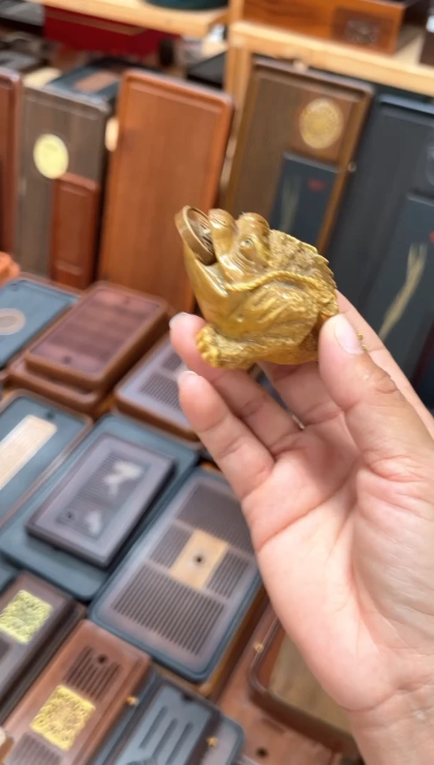 福利福利金蟾茶宠