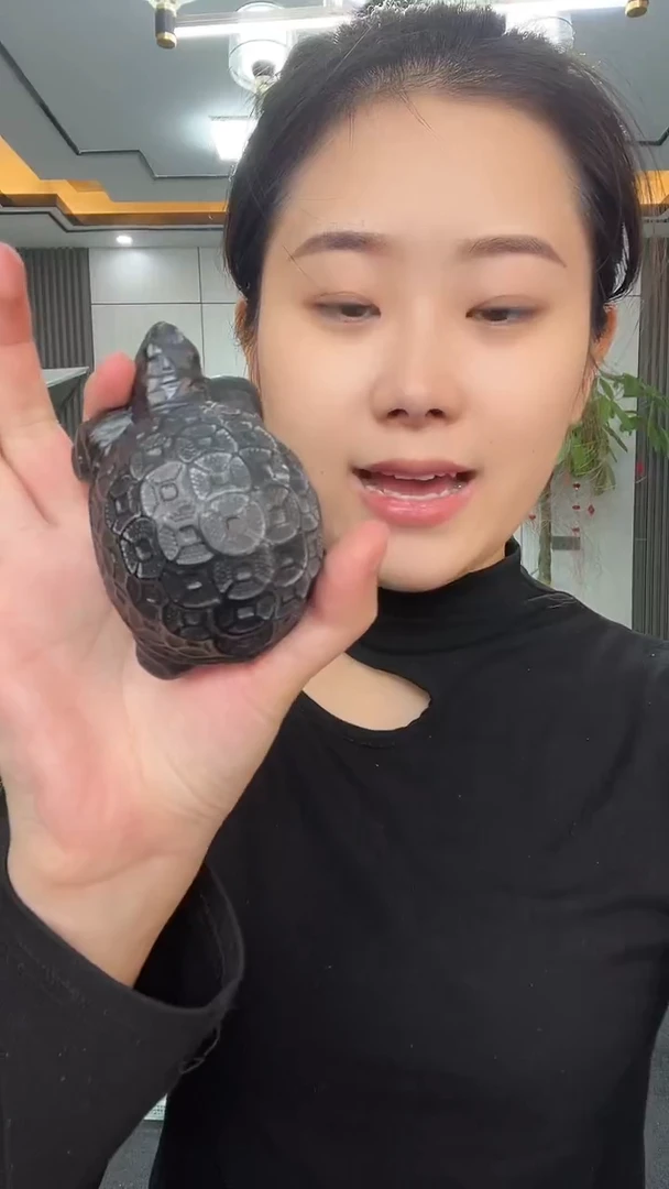 金钱龟手把多样性发货一