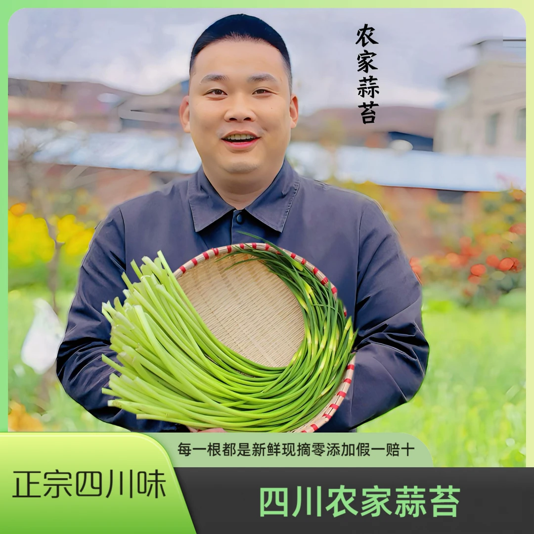 雀森【柒亩地农产品】四川汉源鲜嫩白帽农家蒜苔零添加蒜薹现摘现发