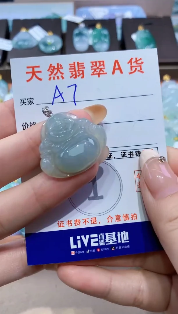 颈饰未镶嵌翡翠天然缅甸翡翠A货挂件