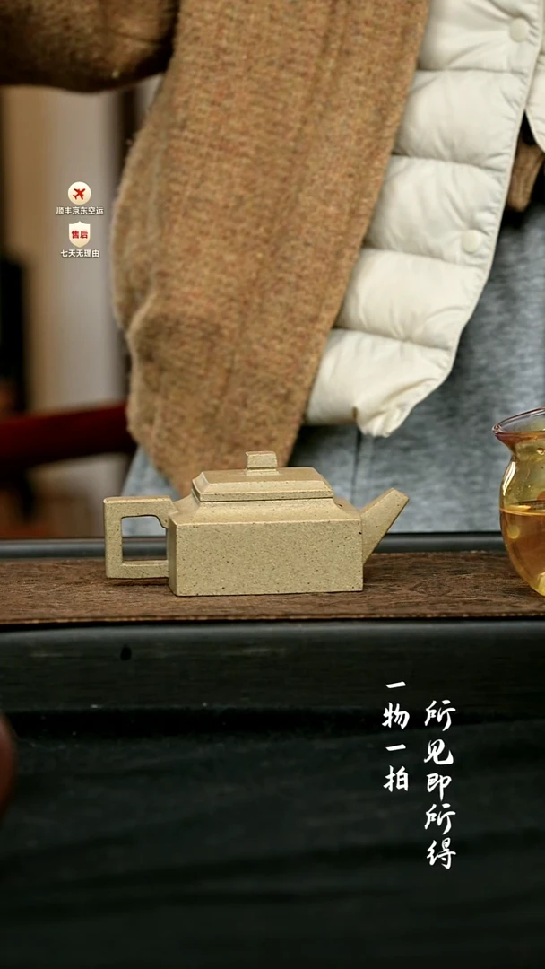 茶壶紫砂全手方山逸士 一物见春