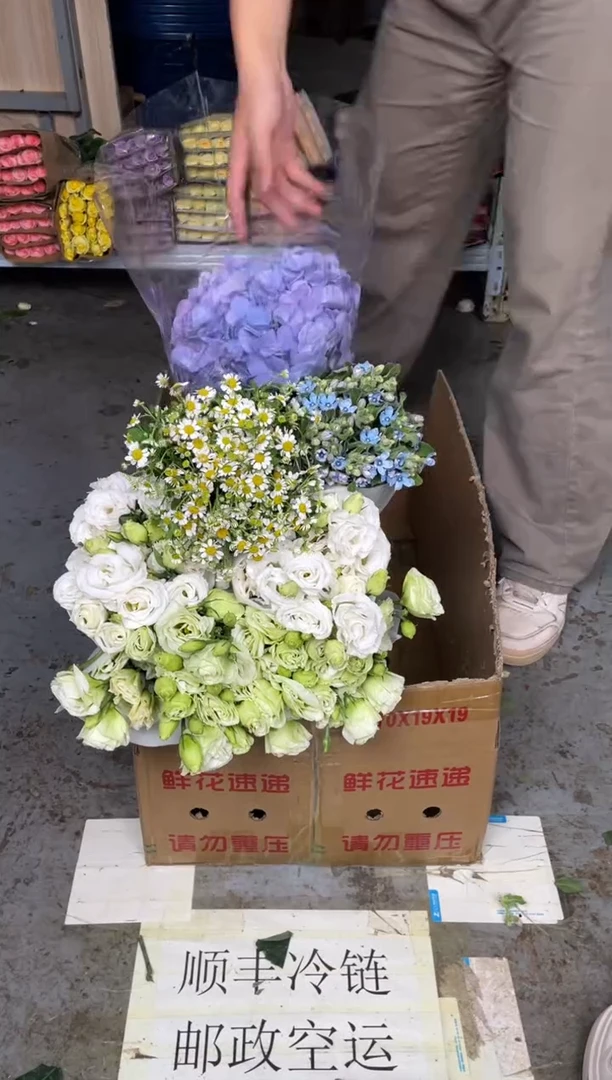 洋桔梗800克2扎（白色+绿色）+洋甘菊+绣球+蓝星花