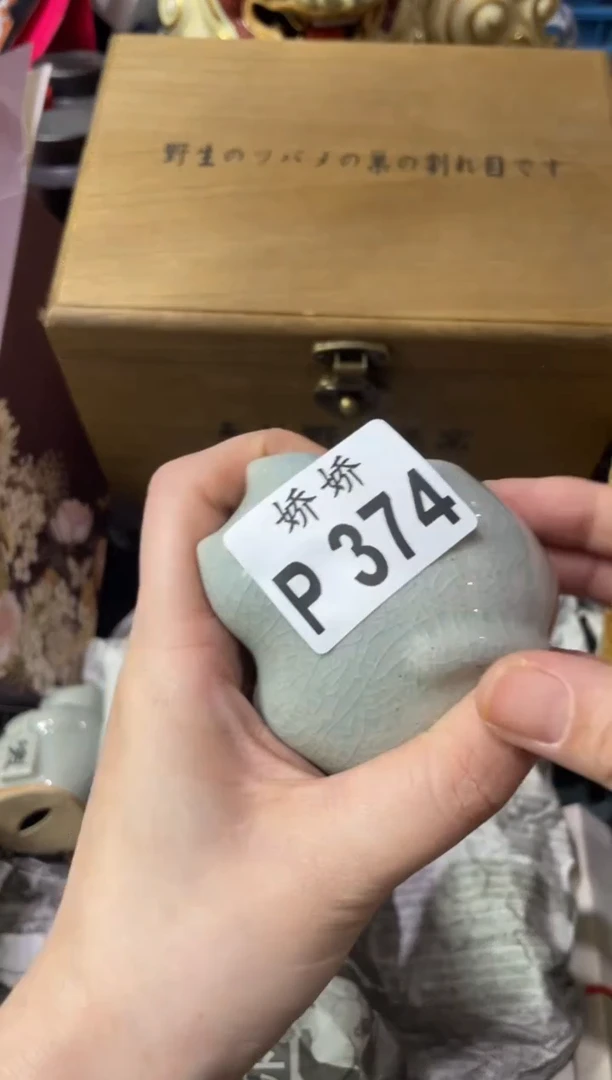 瓷片蒲***毛374 蒲公英毛毛