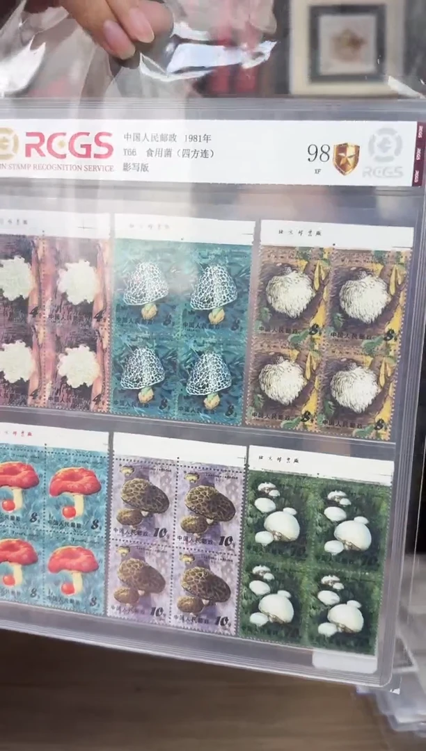 t66   食用菌  四方连  厂铭