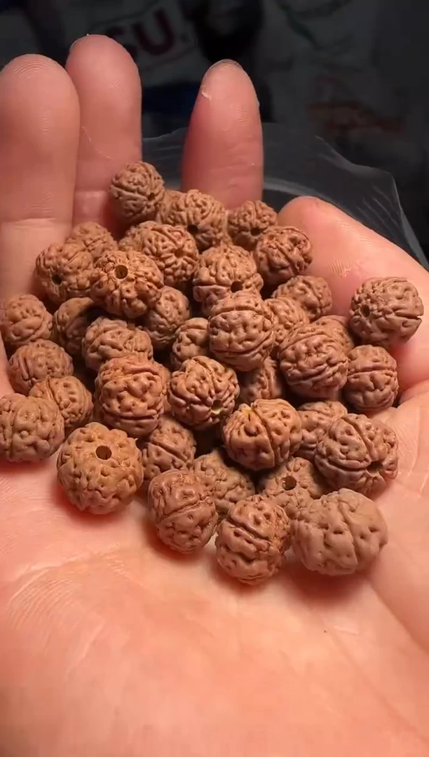 手串金刚菩提非全品老树王散籽10-11mm一份一百颗