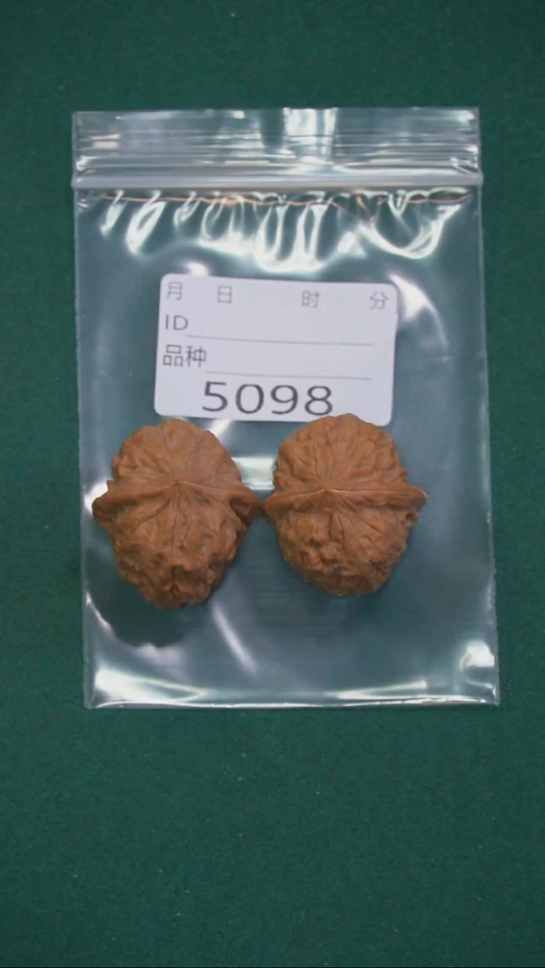 把件文玩核桃唐34铁狮子