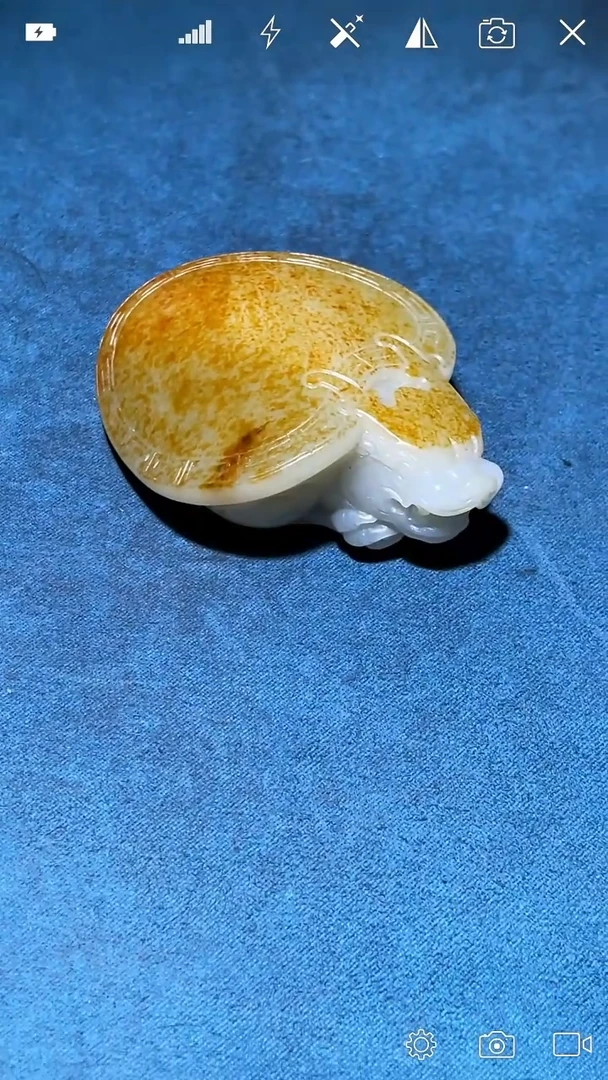 未镶嵌和田玉把件CM   龙龟