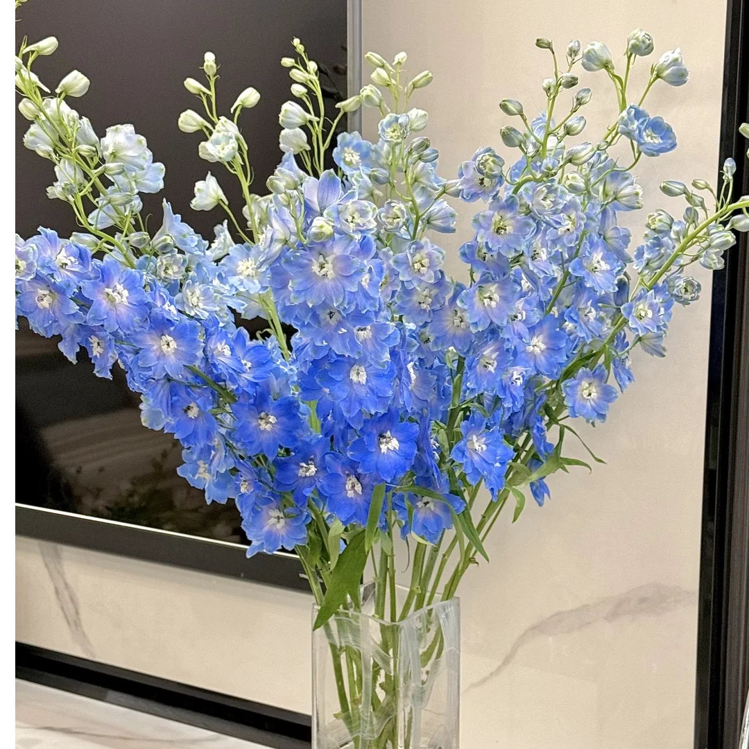 大飞燕包邮【1单中通 2单顺丰京东】云南直发家用鲜花