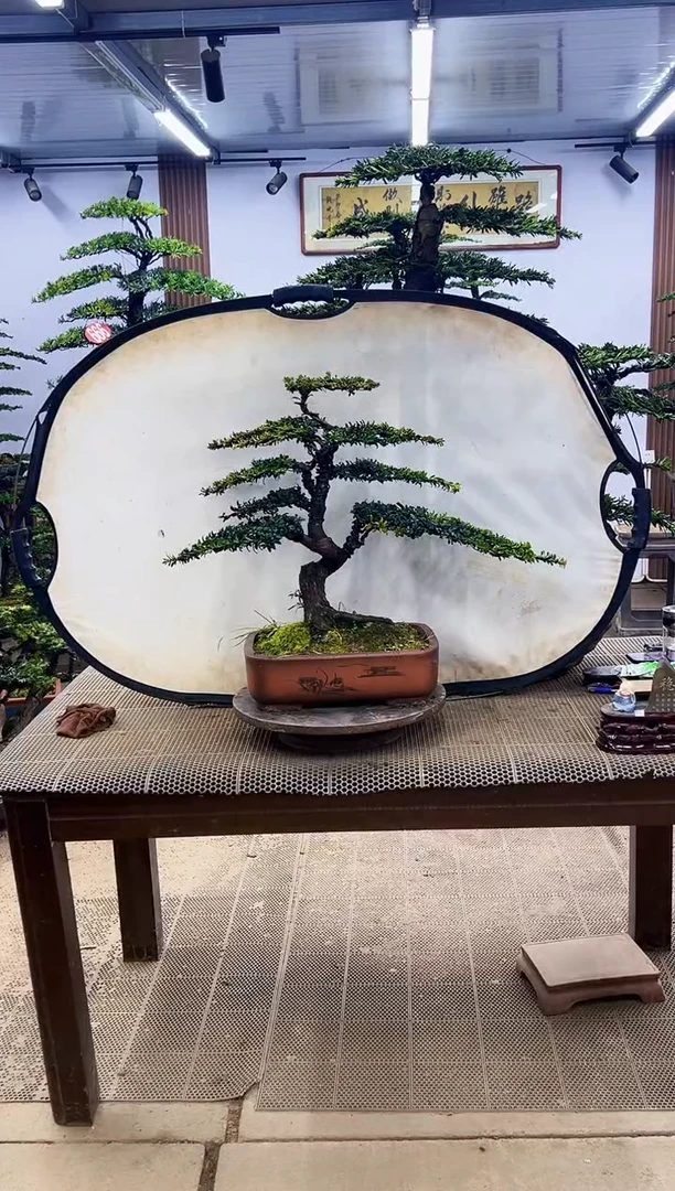 【闪购商品】00000000