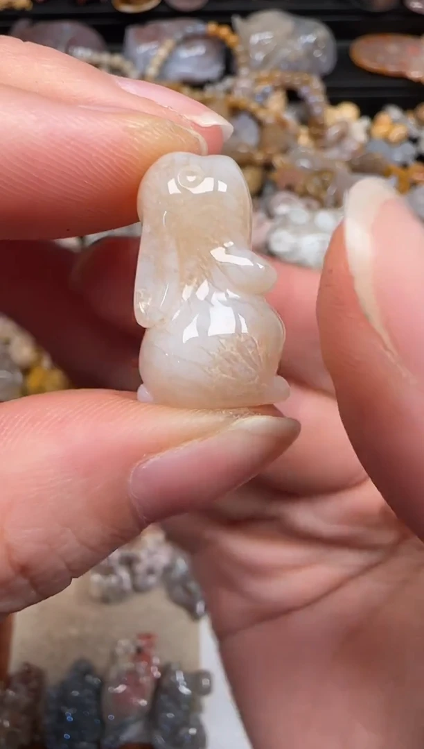 硅化珊瑚（珊瑚玉）未镶嵌颈饰729