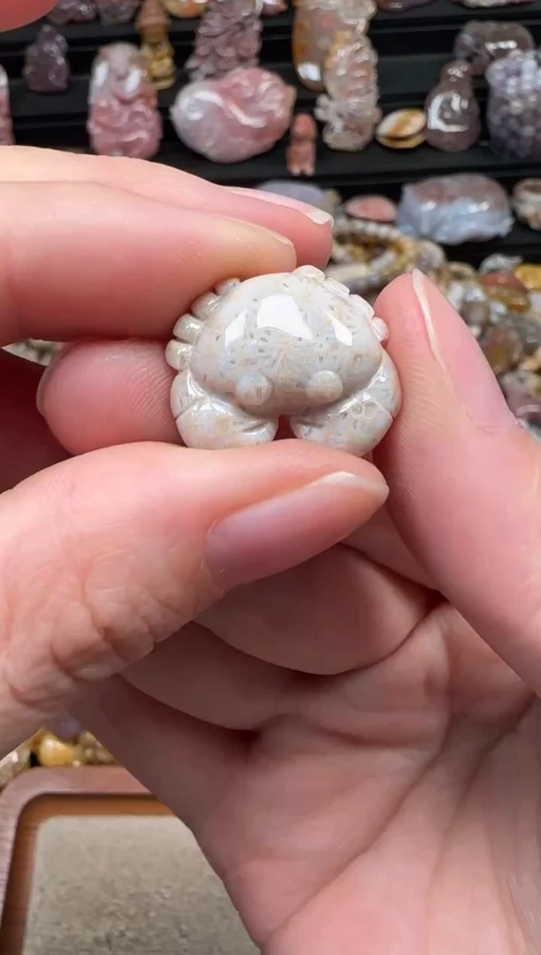 颈饰未镶嵌硅化珊瑚（珊瑚玉）592