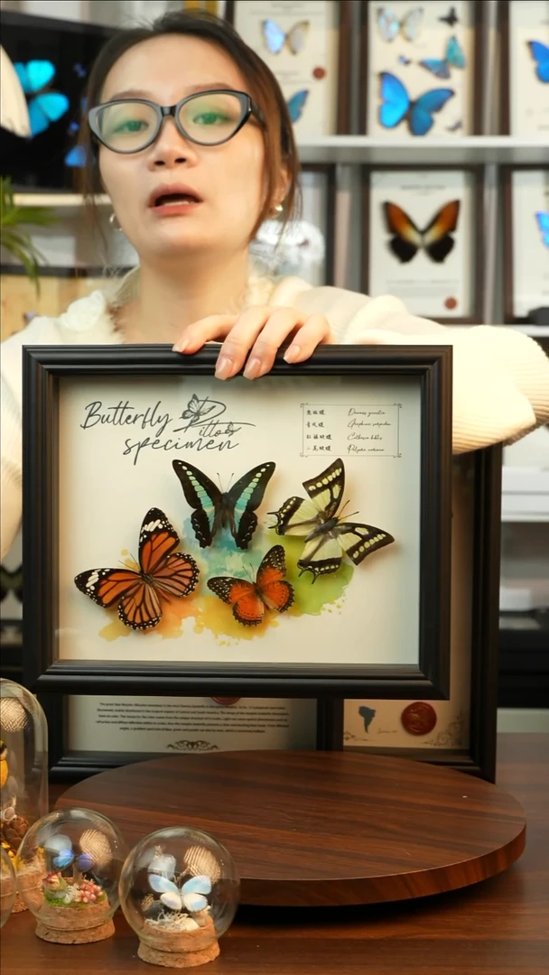 四色蝴蝶组合（10寸欧式黑框）A363