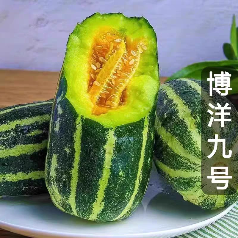 博洋九号蜜瓜整果切单果1斤六两左右 嘎嘎甜甜瓜