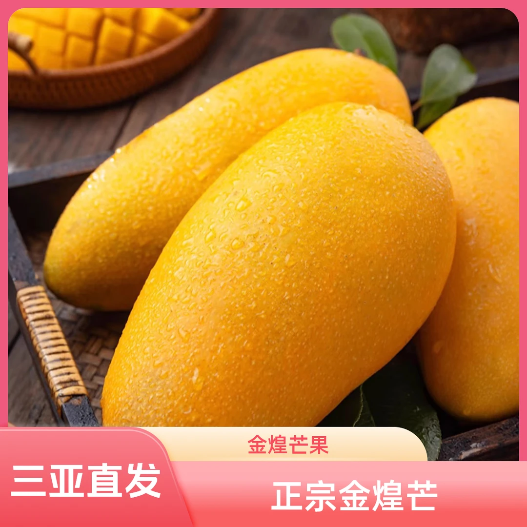【海南溯源】 海南金煌芒  芒果新鲜水果现摘现发5/8斤