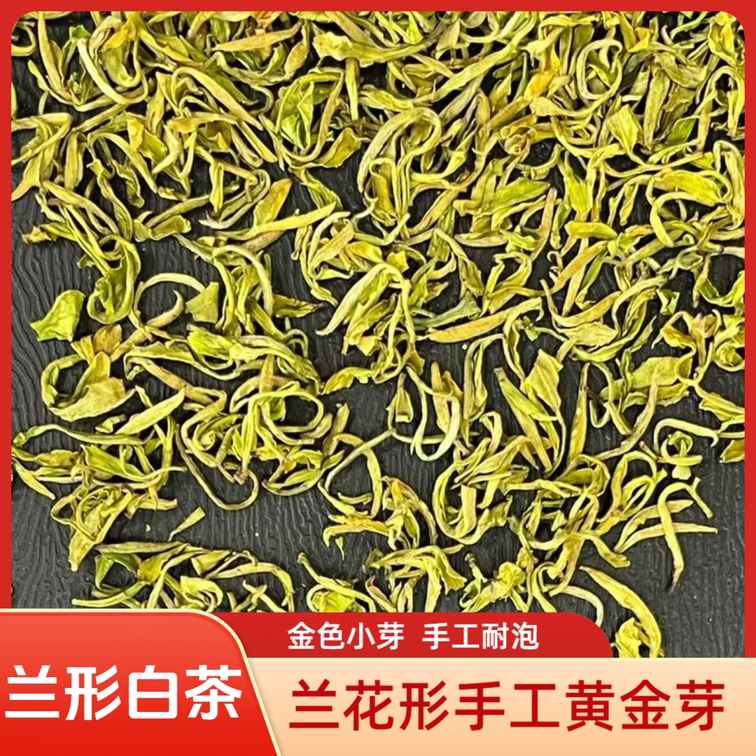 【手工黄金芽】安吉高山茶2025新茶耐泡金色小芽