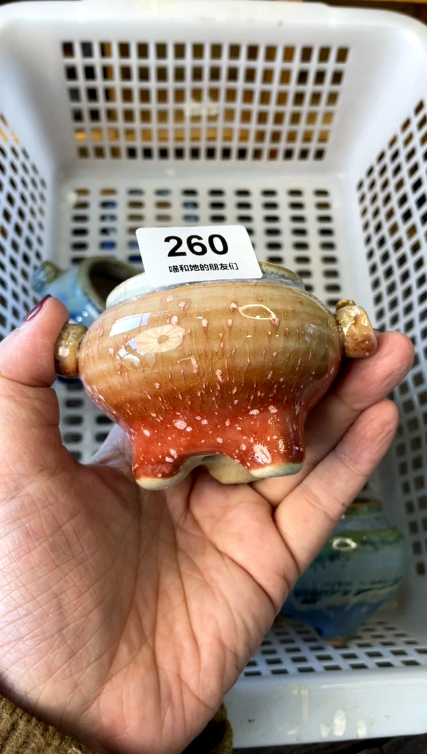 【闪购商品】陶260
