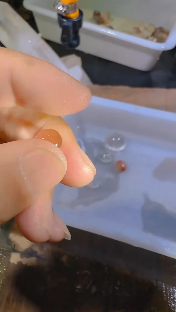 未镶嵌珠宝半成品水晶吞***兽吞水晶