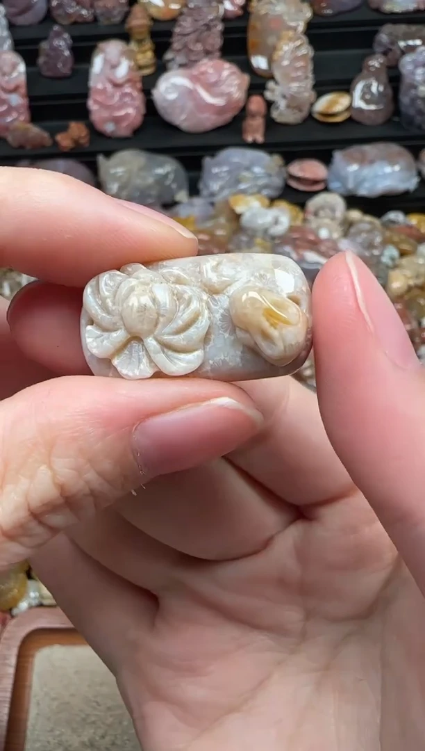 颈饰未镶嵌硅化珊瑚（珊瑚玉）236