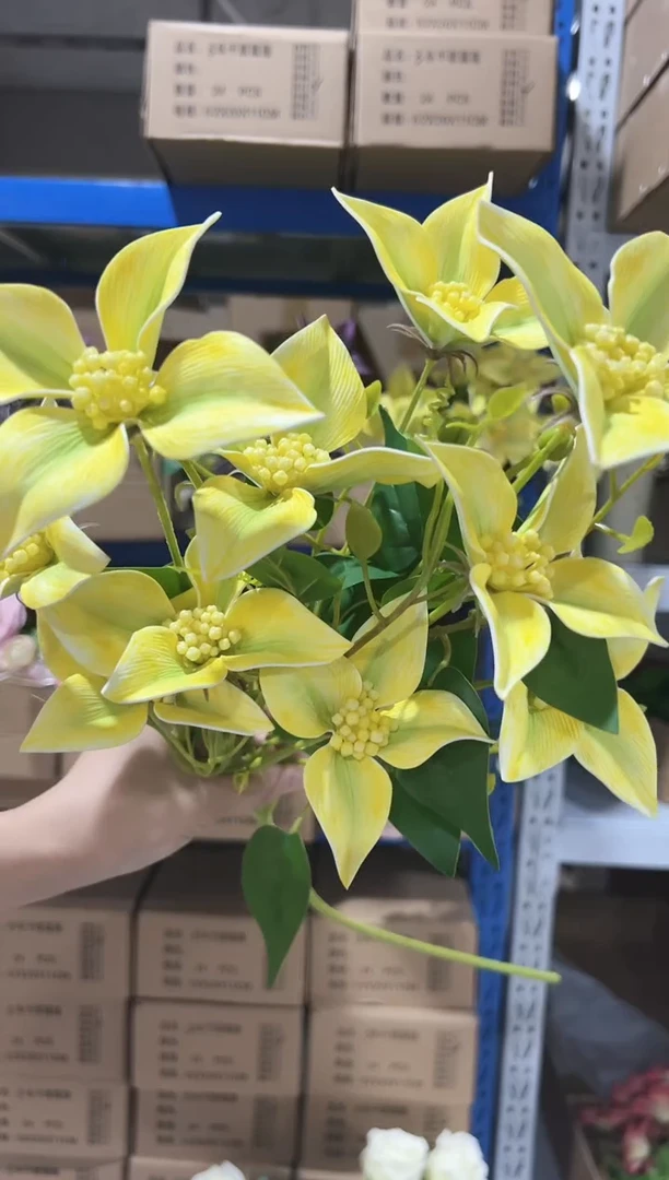 2枝黄色铁线兰