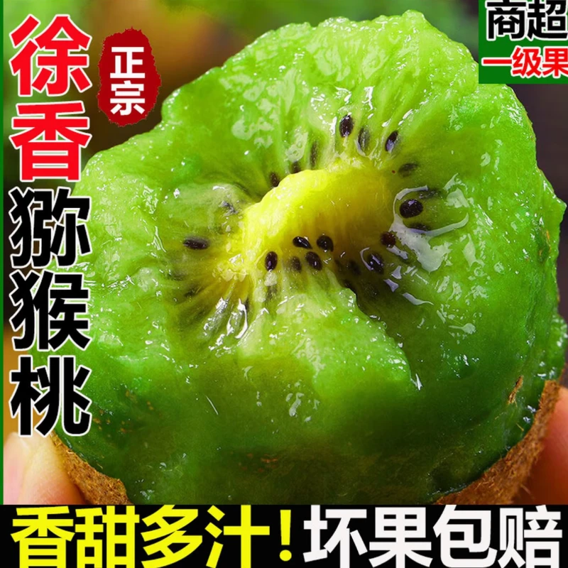 【徐香猕猴桃】X陕西绿心徐香猕猴桃新鲜当季水果香甜多汁坏果包赔