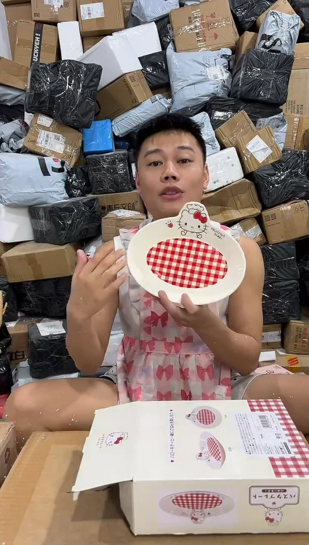 瓷片原盒kt猫红格子餐盘 微瑕