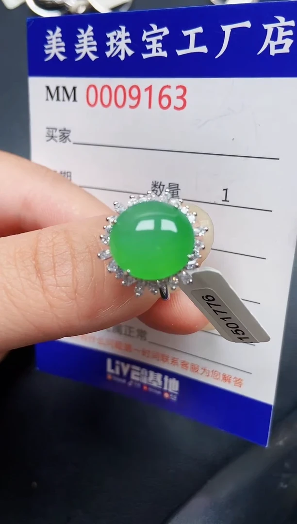 翡翠银S925镶嵌颈饰9163