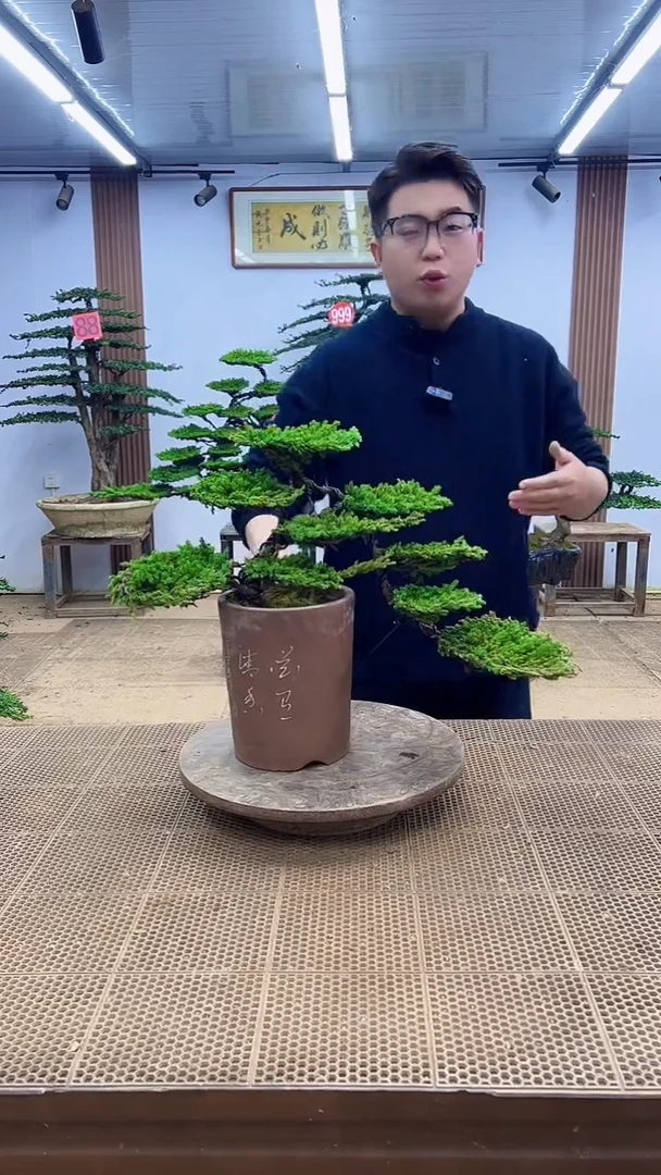 无花朵0000000000000