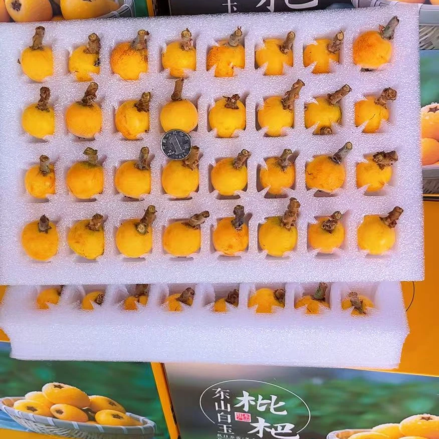 【买一箱送一箱】 苏州东山白玉枇杷 树熟果应季水果枇杷礼盒装4斤新鲜