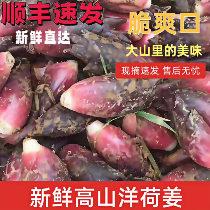 新鲜洋荷姜现摘现发阳荷姜洋荷笋洋霍阳合姜洋火蘘荷洋河凉拌蔬菜