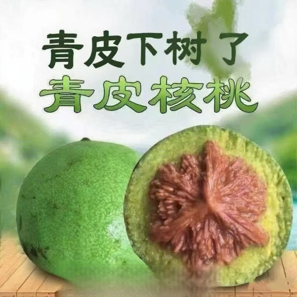 麻核桃青皮核桃四座楼狮子头麒麟纹官帽虎头白狮子手把玩核桃带皮