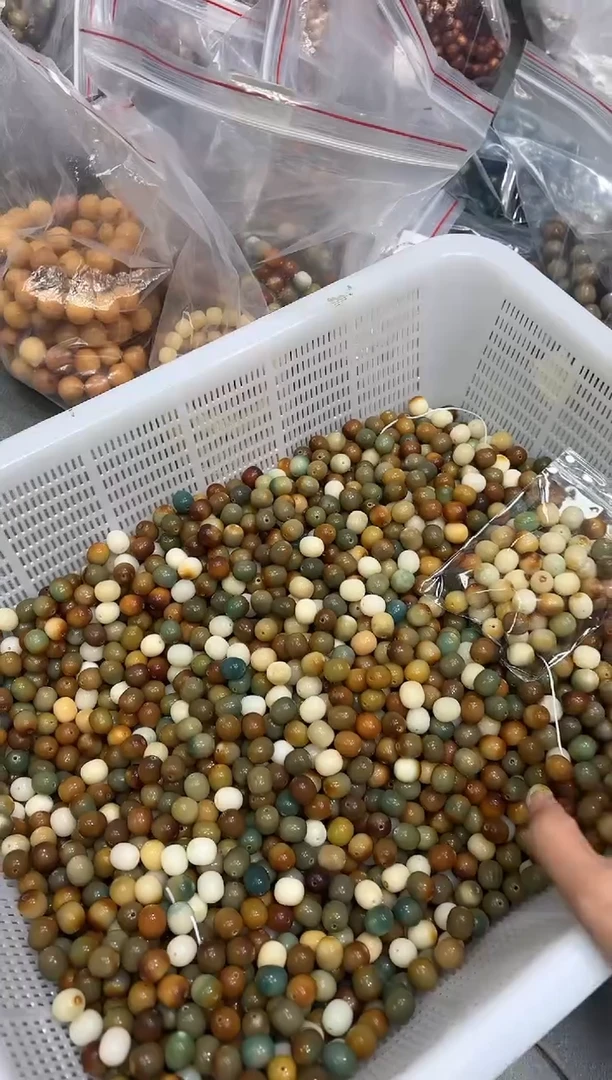 【闪购商品】菩提根/象牙果手串12枣珠20颗（639）