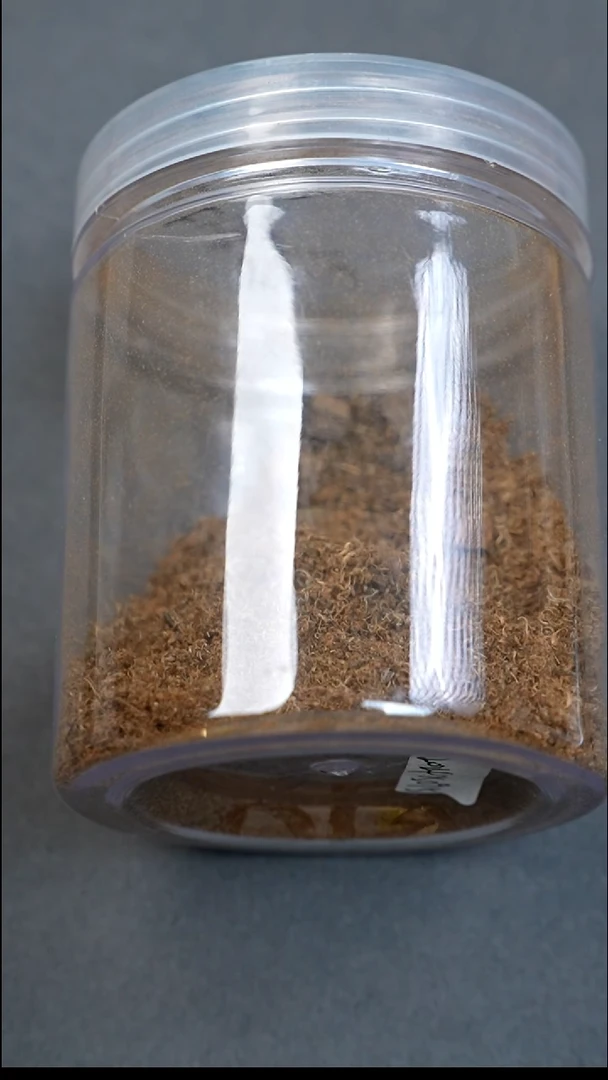 沉香沉香碎屑达拉干沉水帝王香1g外放