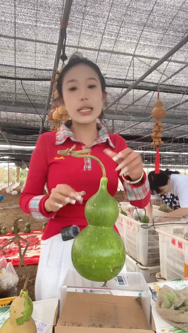 013天然葫芦摆件 一物一拍龙头不保售后