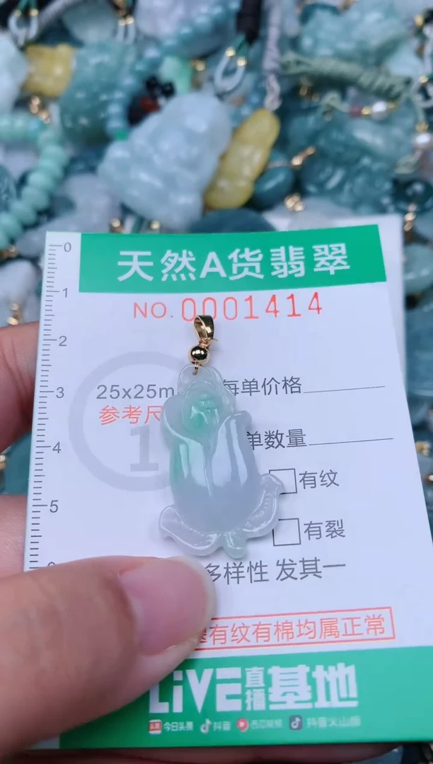 颈饰未镶嵌翡翠.0001414