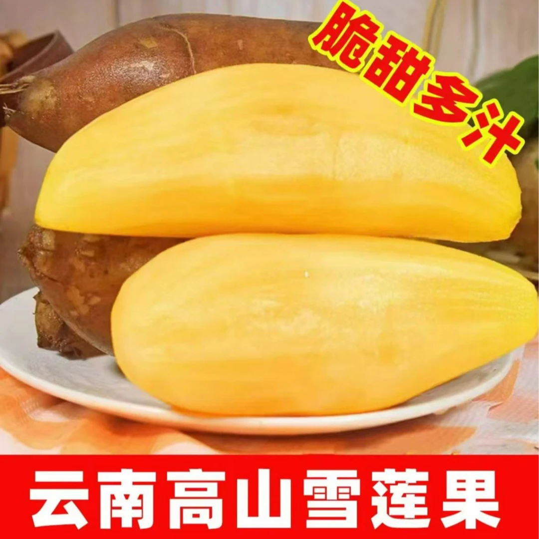 新鲜云南天山雪莲果应季水果黄心清甜多汁产地直发